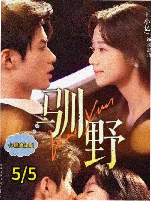 镜像回声